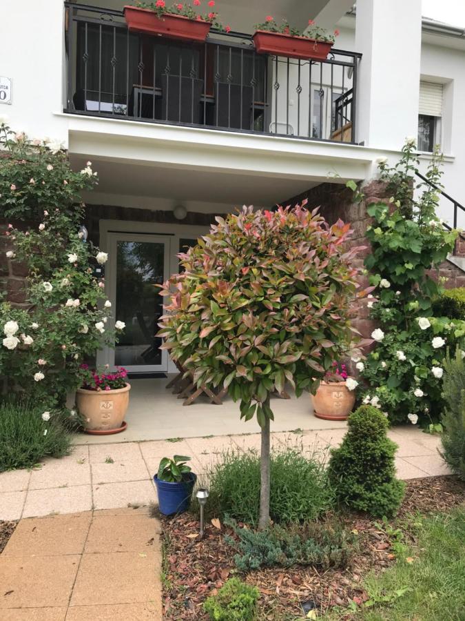 Levendula Apartmanhaz Badacsonytomaj Exteriér fotografie