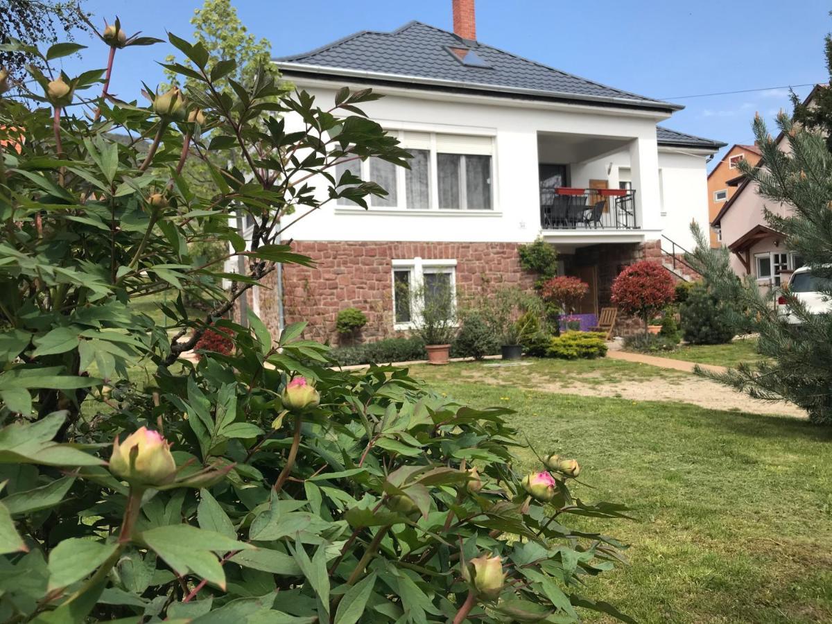 Levendula Apartmanhaz Badacsonytomaj Exteriér fotografie