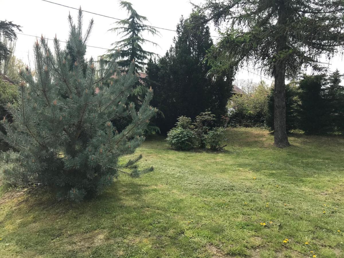 Levendula Apartmanhaz Badacsonytomaj Exteriér fotografie