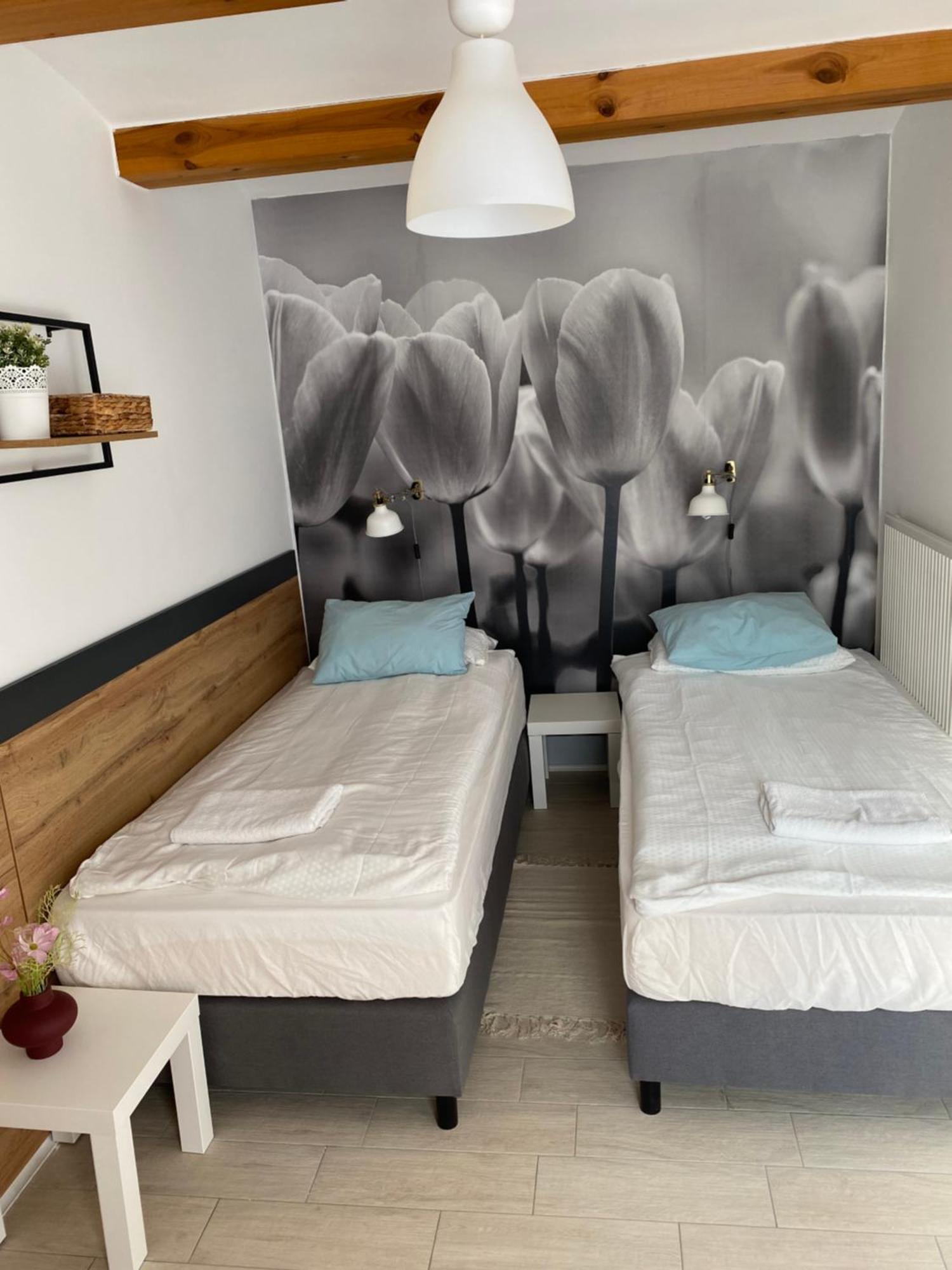 Levendula Apartmanhaz Badacsonytomaj Exteriér fotografie